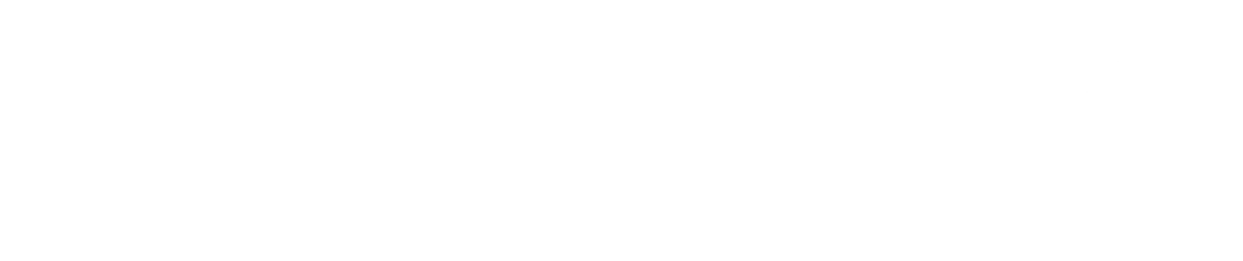 logo1